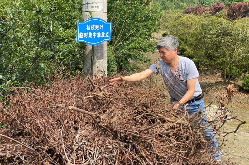 園林綠化廢棄物處理現狀及國外處理方式